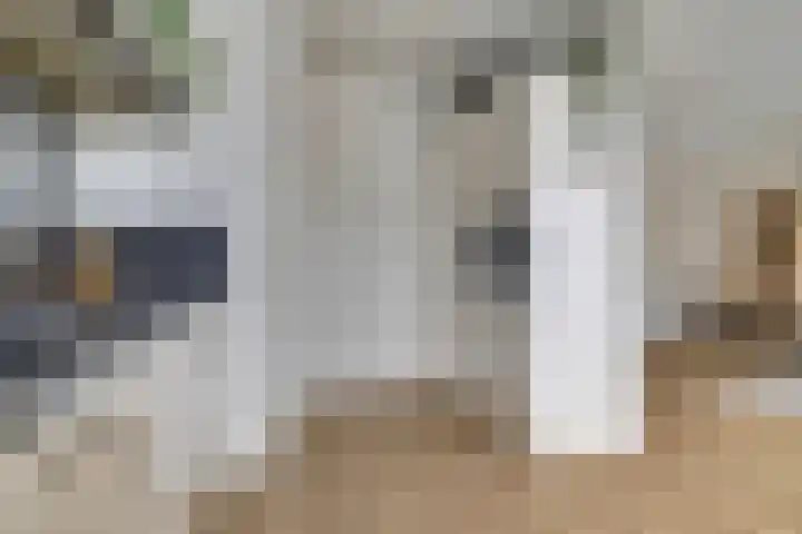van Bronkhorststraat 7 Bemmel thumbnail 24