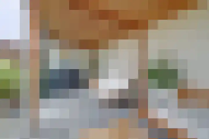 van Bronkhorststraat 7 Bemmel thumbnail 30