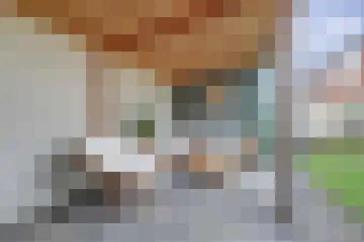 van Bronkhorststraat 7 Bemmel thumbnail 31