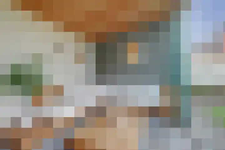 van Bronkhorststraat 7 Bemmel thumbnail 32
