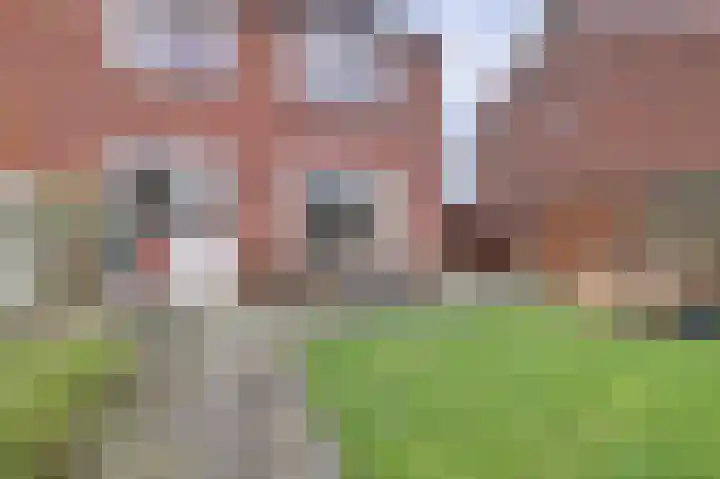 van Bronkhorststraat 7 Bemmel thumbnail 35