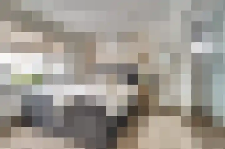 van Bronkhorststraat 7 Bemmel thumbnail 38