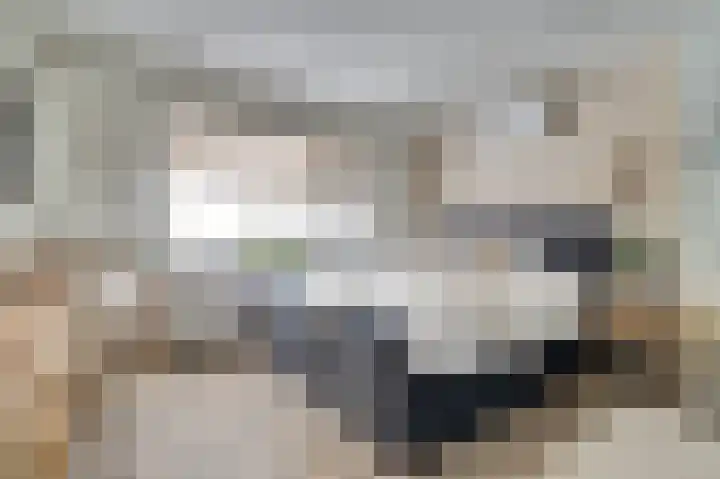 van Bronkhorststraat 7 Bemmel thumbnail 40