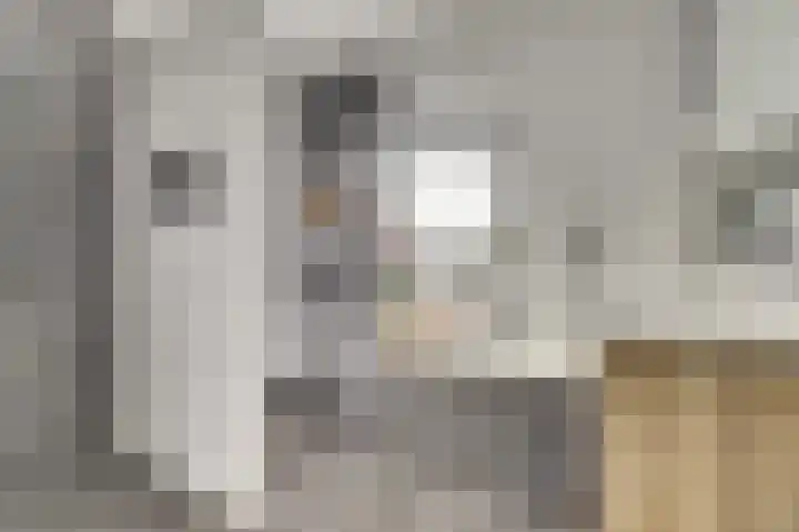 van Bronkhorststraat 7 Bemmel thumbnail 48