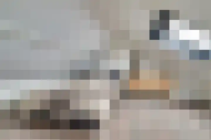 van Bronkhorststraat 7 Bemmel thumbnail 55