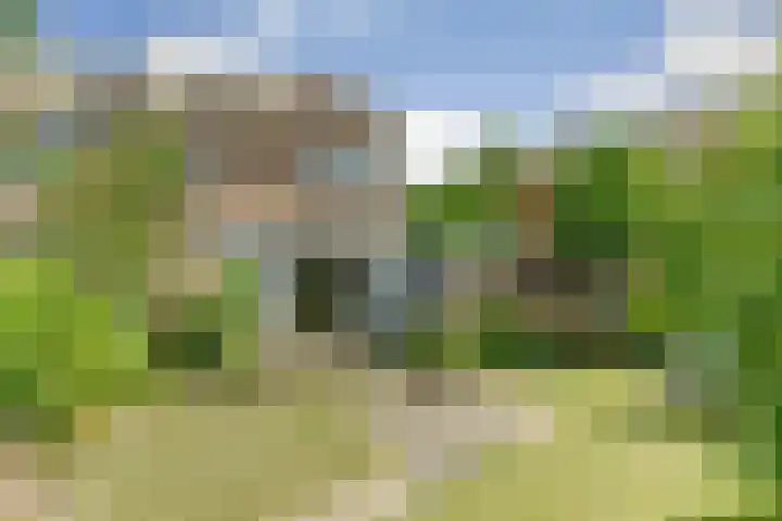 van Bronkhorststraat 7 Bemmel thumbnail 58