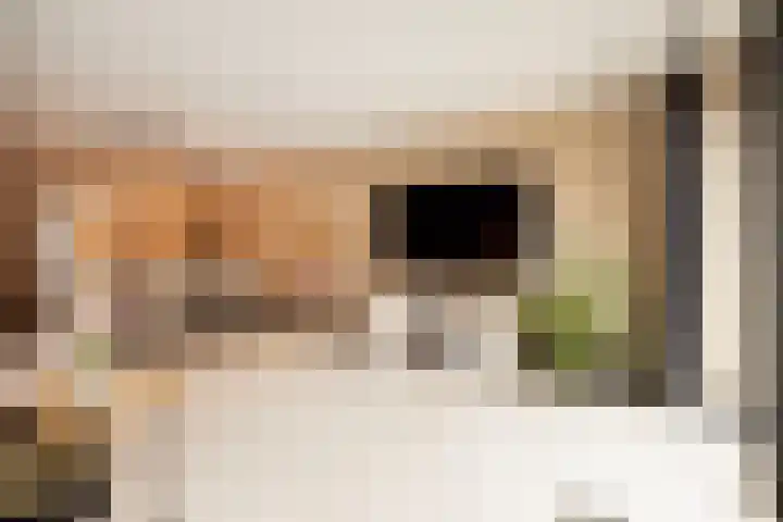 van Bronkhorststraat 7 Bemmel thumbnail 6