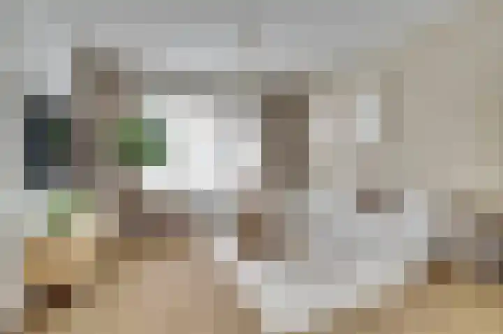 van Bronkhorststraat 7 Bemmel thumbnail 6