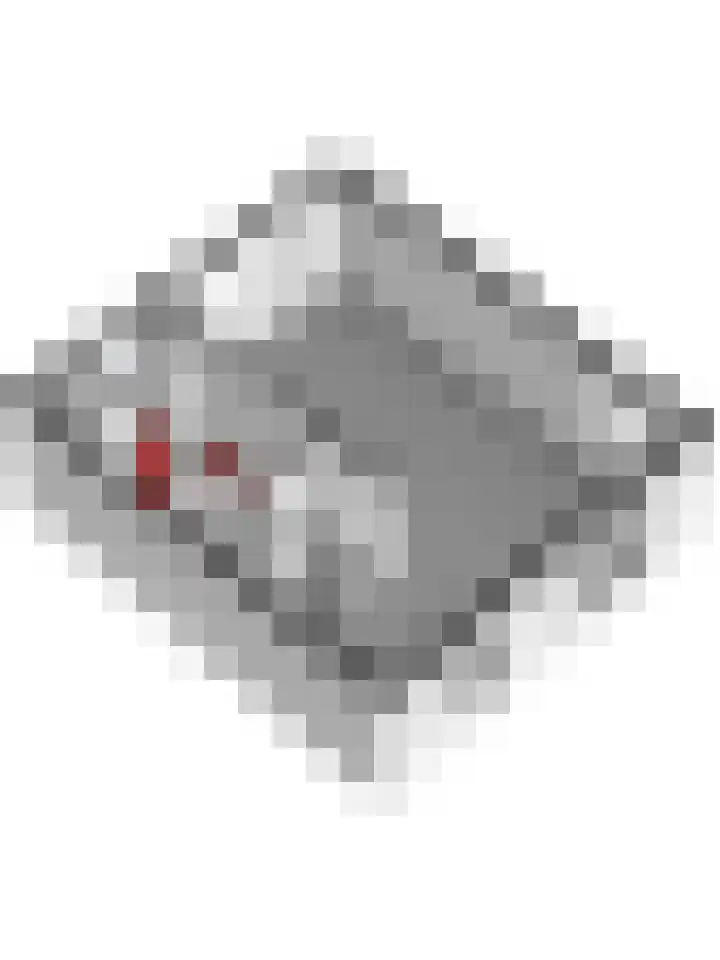 van Bronkhorststraat 7 Bemmel thumbnail 60