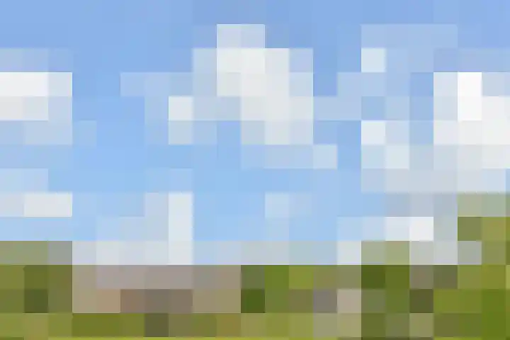 van Bronkhorststraat 7 Bemmel thumbnail 66