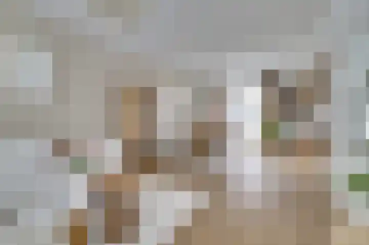 van Bronkhorststraat 7 Bemmel thumbnail 8