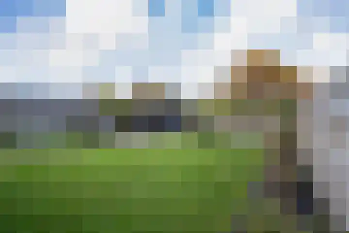 van Camminghaweg 47 Arum thumbnail 43