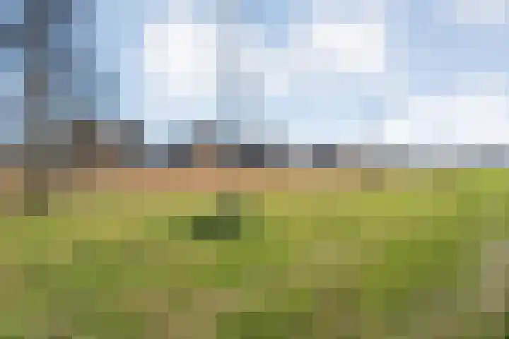 Van Coeverdenstraat 33 Hardenberg thumbnail 53