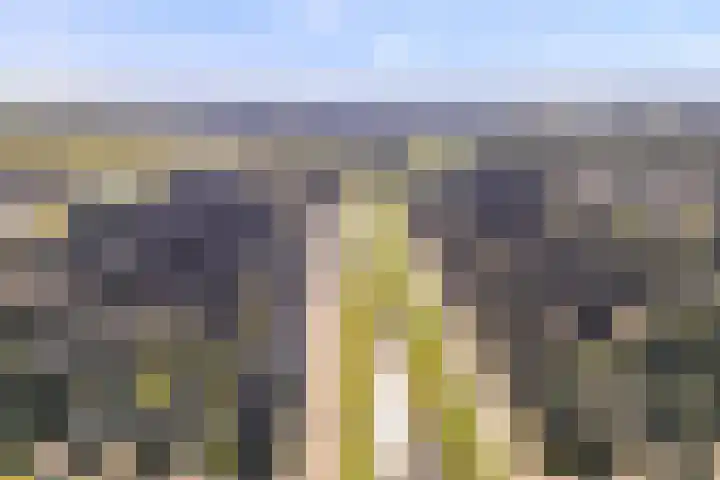 Van Coeverdenstraat 33 Hardenberg thumbnail 8