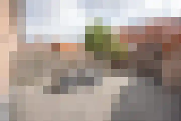 Van Coeverdenstraat 9 Enschede thumbnail 46