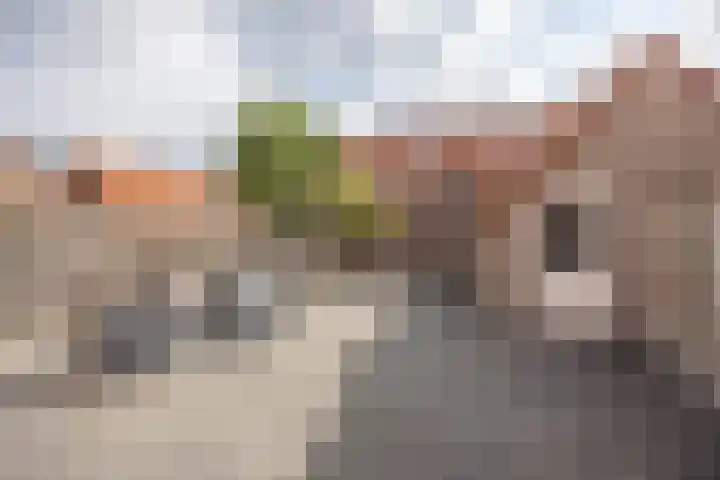 Van Coeverdenstraat 9 Enschede thumbnail 47