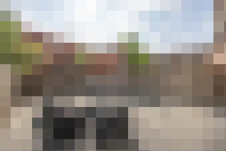 Van Coeverdenstraat 9 Enschede thumbnail 48