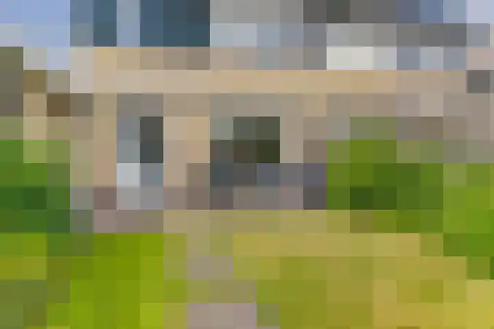 van Culemborglaan 7 Renswoude thumbnail 23