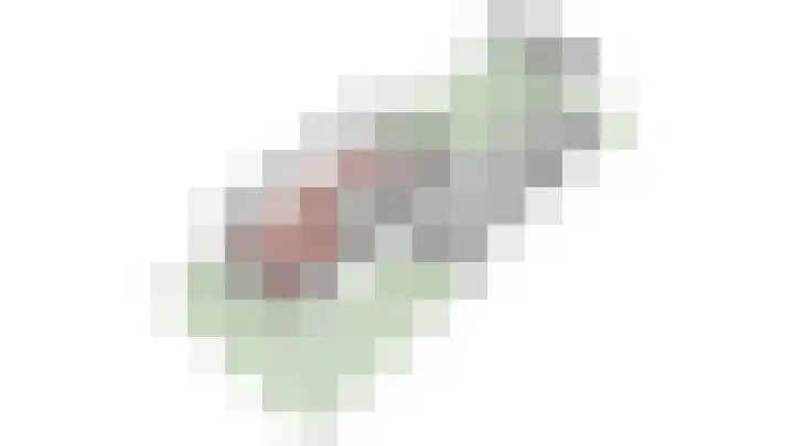 van Culemborglaan 7 Renswoude thumbnail 48