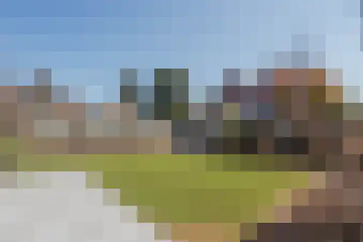 van Darthlaan 13 Lottum thumbnail 31