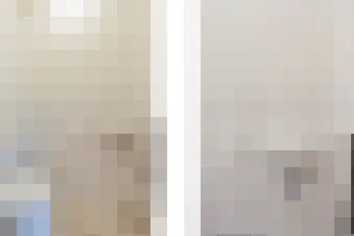 van Darthlaan 13 Lottum thumbnail 9