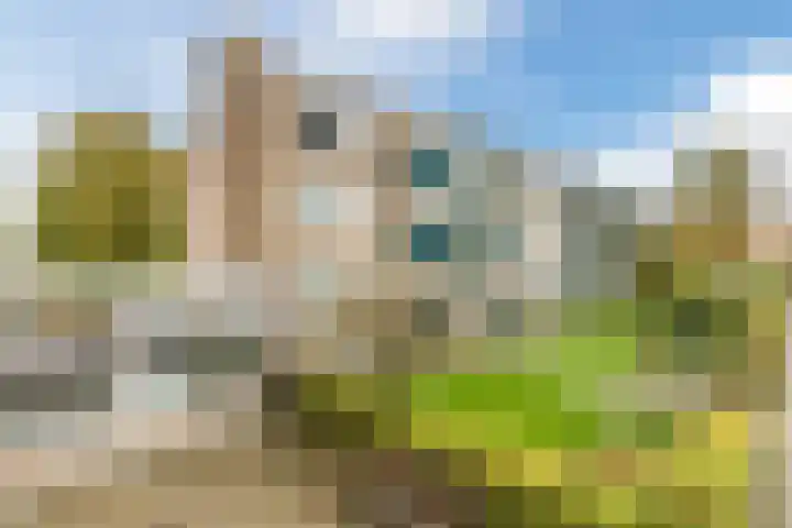 Van de Veldelaan 79 in Alkmaar