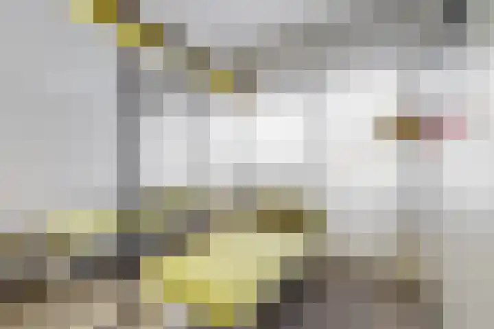 Logo Van de Water Makelaars Oosterhout