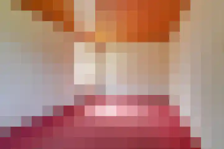 van den Berghweg 38 Didam thumbnail 13
