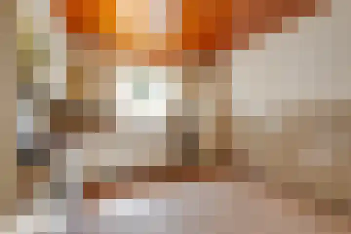 van den Berghweg 38 Didam thumbnail 15