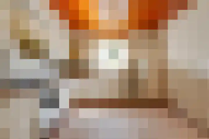 van den Berghweg 38 Didam thumbnail 16