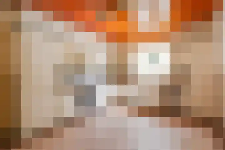 van den Berghweg 38 Didam thumbnail 17