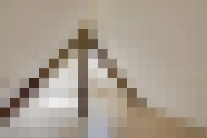 van den Berghweg 38 Didam thumbnail 37