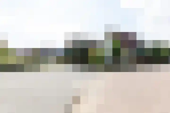 van den Berghweg 38 Didam thumbnail 39