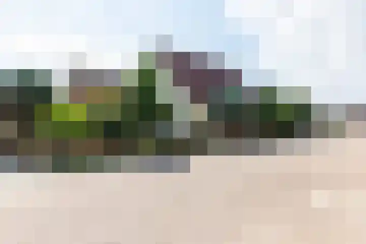 van den Berghweg 38 Didam thumbnail 41