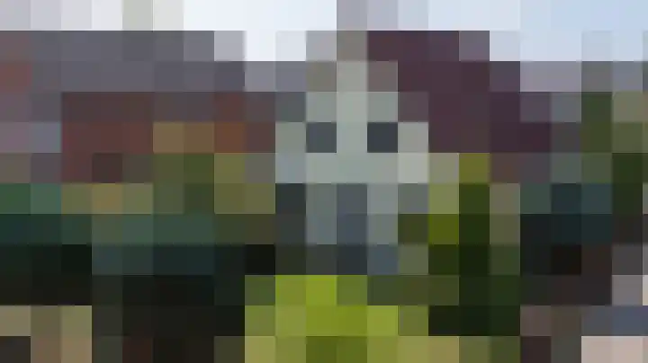 van den Berghweg 38 Didam thumbnail 47
