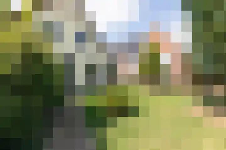 van den Berghweg 38 Didam thumbnail 7