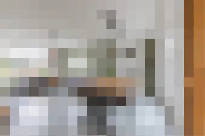 van den Berghweg 48 Didam thumbnail 10