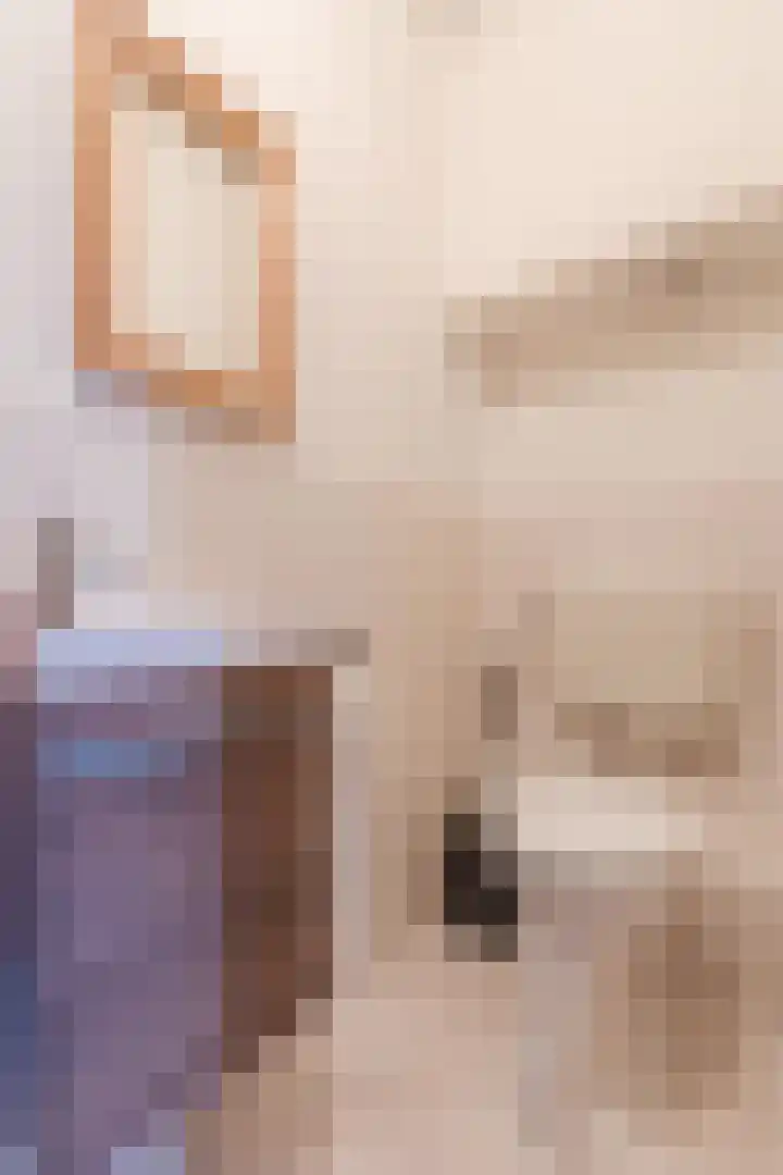 van den Berghweg 48 Didam thumbnail 18