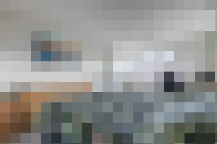 van den Berghweg 48 Didam thumbnail 23