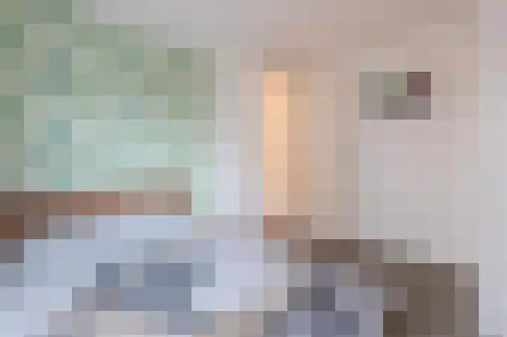 van den Berghweg 48 Didam thumbnail 25