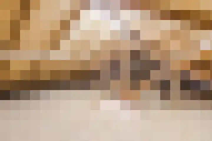 van den Berghweg 48 Didam thumbnail 31