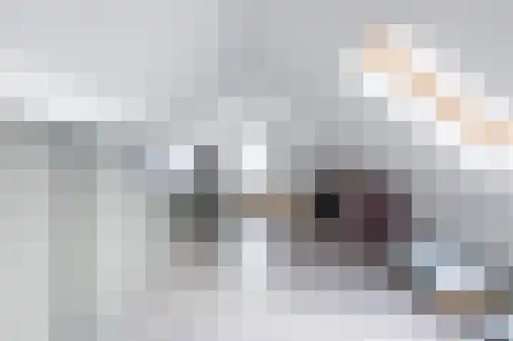 van den Berghweg 48 Didam thumbnail 40
