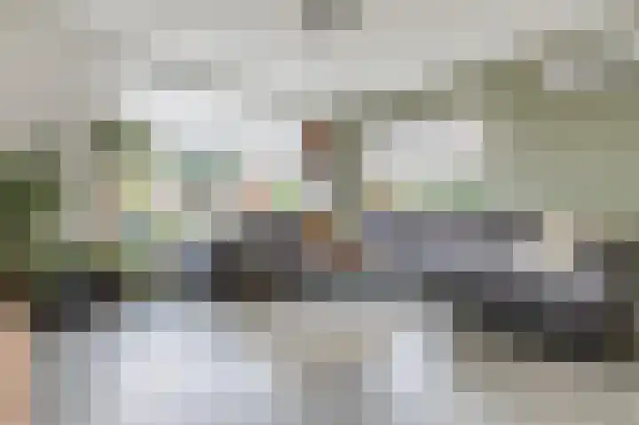 van den Berghweg 48 Didam thumbnail 5