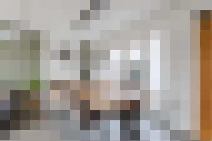 van den Berghweg 48 Didam thumbnail 8