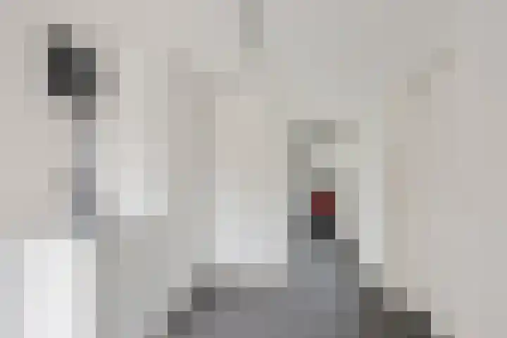 van den Berghweg 8 Didam thumbnail 13