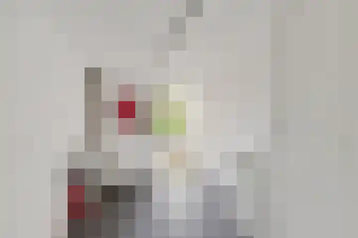 van den Berghweg 8 Didam thumbnail 14