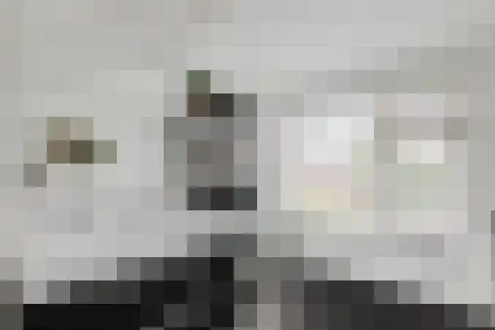 van den Berghweg 8 Didam thumbnail 20