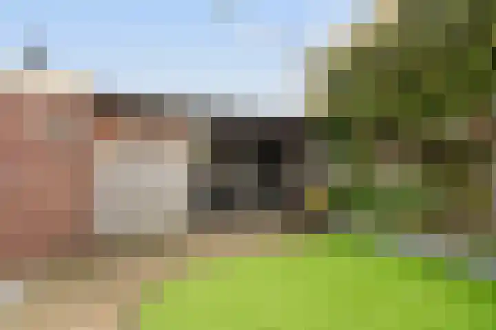 van den Berghweg 8 Didam thumbnail 26