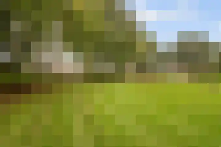 van den Berghweg 8 Didam thumbnail 29