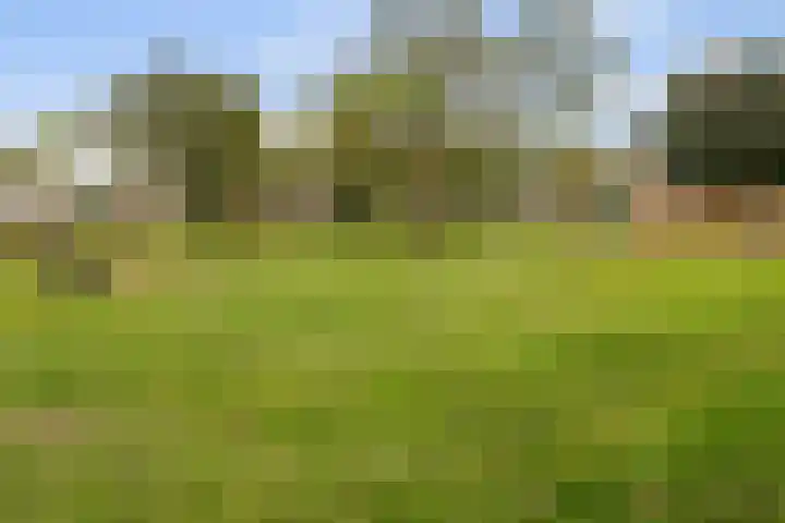 van den Berghweg 8 Didam thumbnail 31